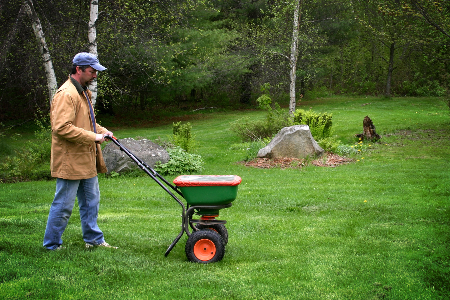 fertilizing-dream-lawns